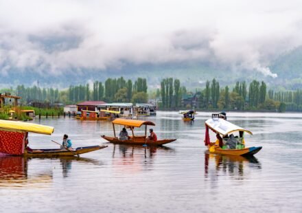 Kashmir